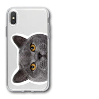 HKM-925459 Transparent Cat Print Protective Phone Case for Apple iPhone Models