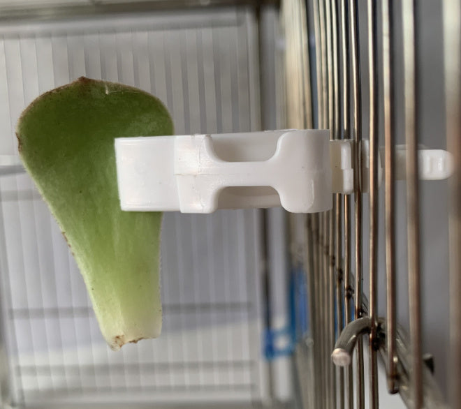 HKM-926035 Parrot Fruit Basket and Vegetable Clips Feeder for Birds