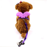 HKM-928851 Little Angel Wings Dog Leash and Chest Strap in Multiple Colors