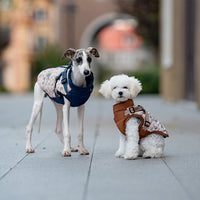 HKM-930451 Cotton-Padded Winter Dog Clothes for Small to Extra Large Breeds in Dark Blue and Amber