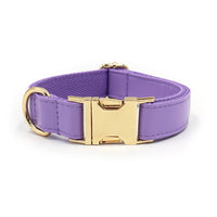 HKM-930515 Simple Color Blocking Household Velvet Pet Collar
