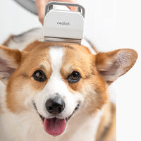 HKM-932051 Pet Grooming Tool for Dogs with 9000Pa Suction, 300W Power, and 1000ml Dust Box