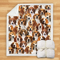 HKM-932115 Modern Printed Flannel Blanket for Dogs - Available in Two Sizes (120x150, 150x200)