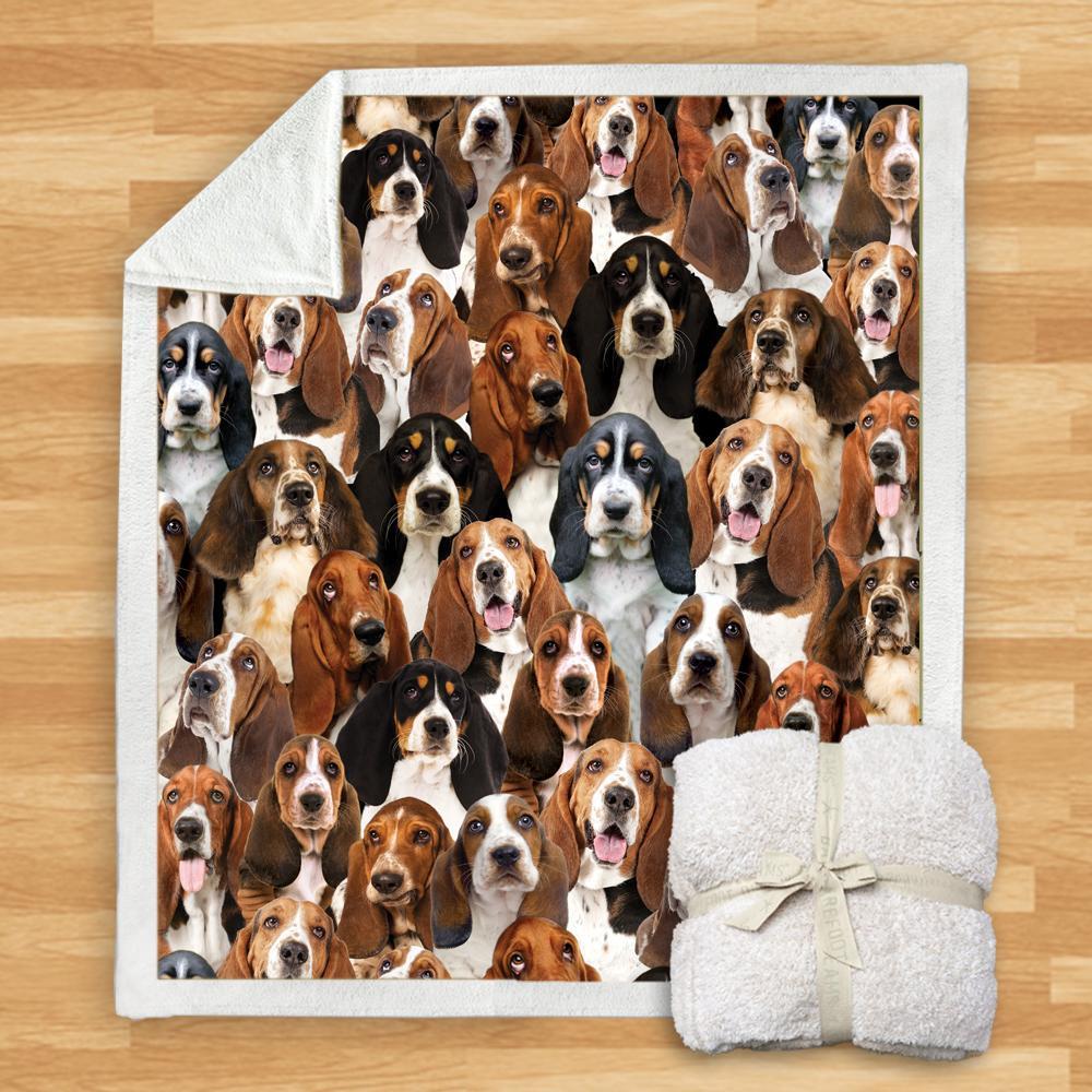 HKM-932115 Modern Printed Flannel Blanket for Dogs - Available in Two Sizes (120x150, 150x200)