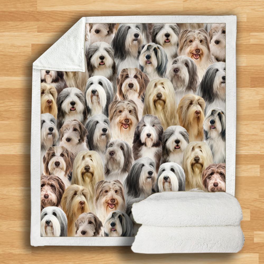 HKM-932115 Modern Printed Flannel Blanket for Dogs - Available in Two Sizes (120x150, 150x200)