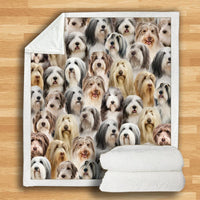 HKM-932115 Modern Printed Flannel Blanket for Dogs - Available in Two Sizes (120x150, 150x200)