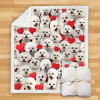 HKM-932115 Modern Printed Flannel Blanket for Dogs - Available in Two Sizes (120x150, 150x200)