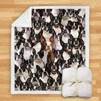 HKM-932115 Modern Printed Flannel Blanket for Dogs - Available in Two Sizes (120x150, 150x200)