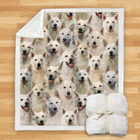 HKM-932115 Modern Printed Flannel Blanket for Dogs - Available in Two Sizes (120x150, 150x200)