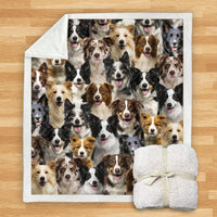 HKM-932115 Modern Printed Flannel Blanket for Dogs - Available in Two Sizes (120x150, 150x200)