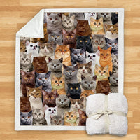 HKM-932115 Modern Printed Flannel Blanket for Dogs - Available in Two Sizes (120x150, 150x200)