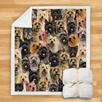 HKM-932115 Modern Printed Flannel Blanket for Dogs - Available in Two Sizes (120x150, 150x200)