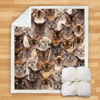 HKM-932115 Modern Printed Flannel Blanket for Dogs - Available in Two Sizes (120x150, 150x200)