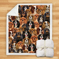 HKM-932115 Modern Printed Flannel Blanket for Dogs - Available in Two Sizes (120x150, 150x200)