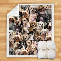 HKM-932115 Modern Printed Flannel Blanket for Dogs - Available in Two Sizes (120x150, 150x200)