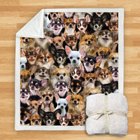 HKM-932115 Modern Printed Flannel Blanket for Dogs - Available in Two Sizes (120x150, 150x200)