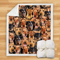 HKM-932115 Modern Printed Flannel Blanket for Dogs - Available in Two Sizes (120x150, 150x200)