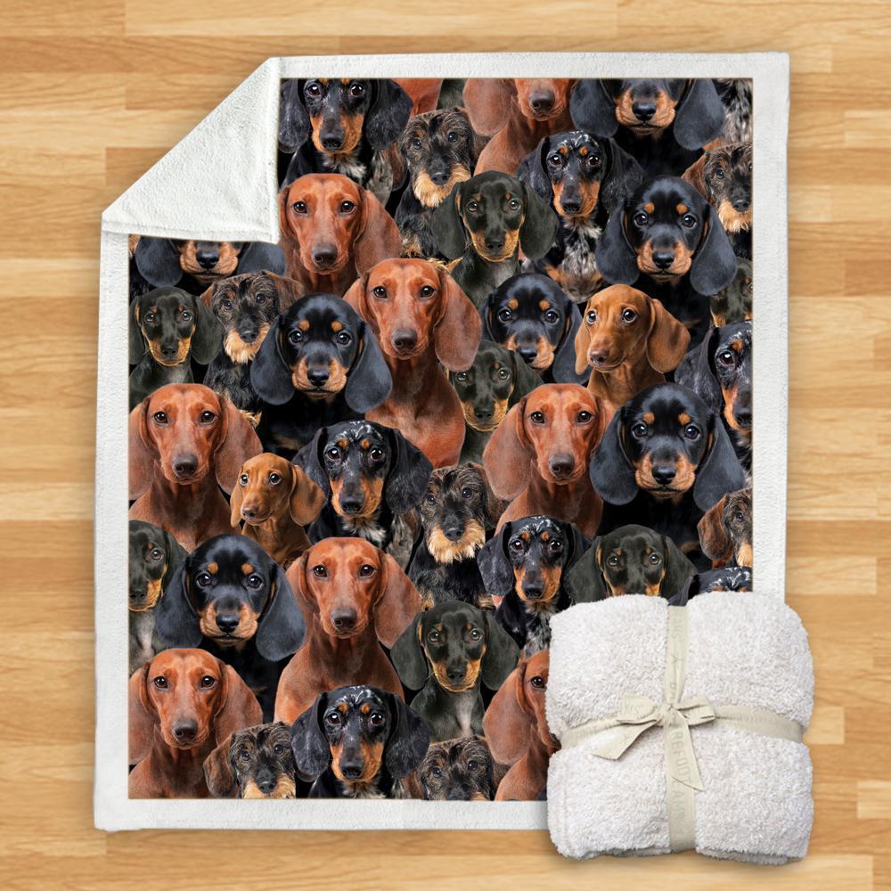HKM-932115 Modern Printed Flannel Blanket for Dogs - Available in Two Sizes (120x150, 150x200)
