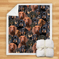 HKM-932115 Modern Printed Flannel Blanket for Dogs - Available in Two Sizes (120x150, 150x200)