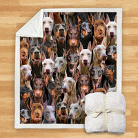 HKM-932115 Modern Printed Flannel Blanket for Dogs - Available in Two Sizes (120x150, 150x200)