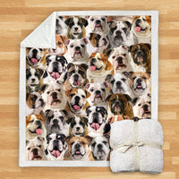 HKM-932115 Modern Printed Flannel Blanket for Dogs - Available in Two Sizes (120x150, 150x200)