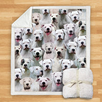 HKM-932115 Modern Printed Flannel Blanket for Dogs - Available in Two Sizes (120x150, 150x200)