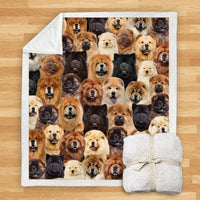 HKM-932115 Modern Printed Flannel Blanket for Dogs - Available in Two Sizes (120x150, 150x200)