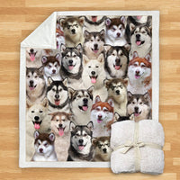 HKM-932115 Modern Printed Flannel Blanket for Dogs - Available in Two Sizes (120x150, 150x200)