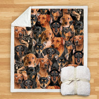 HKM-932115 Modern Printed Flannel Blanket for Dogs - Available in Two Sizes (120x150, 150x200)
