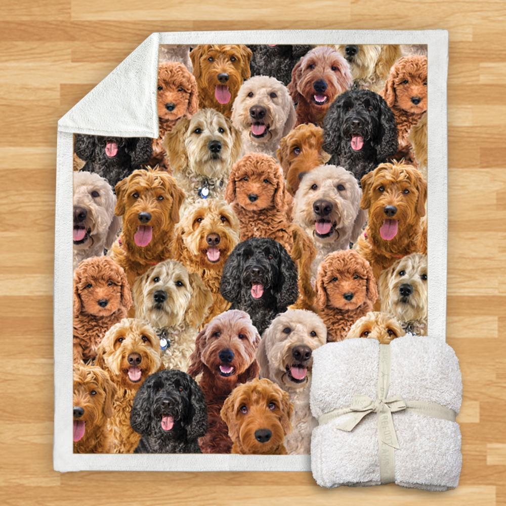 HKM-932115 Modern Printed Flannel Blanket for Dogs - Available in Two Sizes (120x150, 150x200)