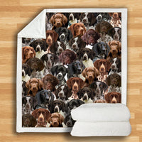 HKM-932115 Modern Printed Flannel Blanket for Dogs - Available in Two Sizes (120x150, 150x200)