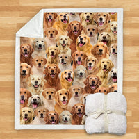 HKM-932115 Modern Printed Flannel Blanket for Dogs - Available in Two Sizes (120x150, 150x200)