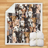 HKM-932115 Modern Printed Flannel Blanket for Dogs - Available in Two Sizes (120x150, 150x200)