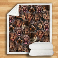 HKM-932115 Modern Printed Flannel Blanket for Dogs - Available in Two Sizes (120x150, 150x200)