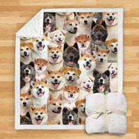 HKM-932115 Modern Printed Flannel Blanket for Dogs - Available in Two Sizes (120x150, 150x200)