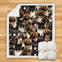 HKM-932115 Modern Printed Flannel Blanket for Dogs - Available in Two Sizes (120x150, 150x200)