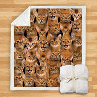HKM-932115 Modern Printed Flannel Blanket for Dogs - Available in Two Sizes (120x150, 150x200)