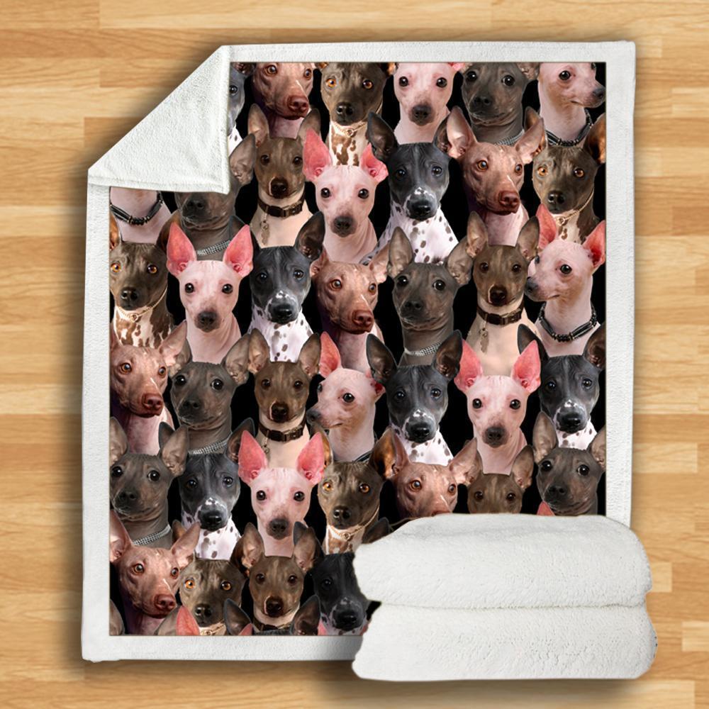 HKM-932115 Modern Printed Flannel Blanket for Dogs - Available in Two Sizes (120x150, 150x200)