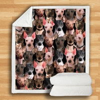 HKM-932115 Modern Printed Flannel Blanket for Dogs - Available in Two Sizes (120x150, 150x200)