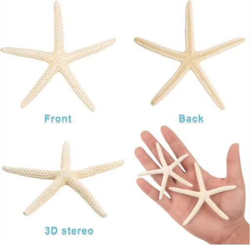 HKM-933075 Natural Real Starfish Set - 20 Pieces, 2-4 Inch and 4-6 Inch for DIY Crafts, Weddings, Beach Decor, Christmas Ornaments
