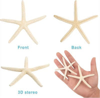 HKM-933075 Natural Real Starfish Set - 20 Pieces, 2-4 Inch and 4-6 Inch for DIY Crafts, Weddings, Beach Decor, Christmas Ornaments