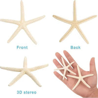 HKM-933075 Natural Real Starfish Set - 20 Pieces, 2-4 Inch and 4-6 Inch for DIY Crafts, Weddings, Beach Decor, Christmas Ornaments
