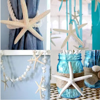 HKM-933075 Natural Real Starfish Set - 20 Pieces, 2-4 Inch and 4-6 Inch for DIY Crafts, Weddings, Beach Decor, Christmas Ornaments