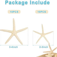 HKM-933075 Natural Real Starfish Set - 20 Pieces, 2-4 Inch and 4-6 Inch for DIY Crafts, Weddings, Beach Decor, Christmas Ornaments