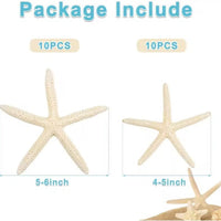 HKM-933075 Natural Real Starfish Set - 20 Pieces, 2-4 Inch and 4-6 Inch for DIY Crafts, Weddings, Beach Decor, Christmas Ornaments