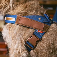 HKM-933459 Reflective Dog Chest Strap for Nighttime Safety - Sizes XS to XL Available