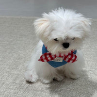 HKM-934995 Western Denim Bow Scarf for Pets - Spring and Autumn Style