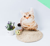 HKM-935699 Customized 3D Pet Pillow - Soft Cushion for Bedroom Decor