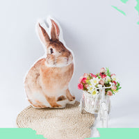 HKM-935699 Customized 3D Pet Pillow - Soft Cushion for Bedroom Decor