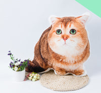 HKM-935699 Customized 3D Pet Pillow - Soft Cushion for Bedroom Decor